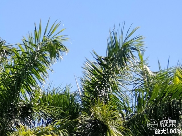 资深极客上手一加5T，顺便给你聊聊它的前世今生