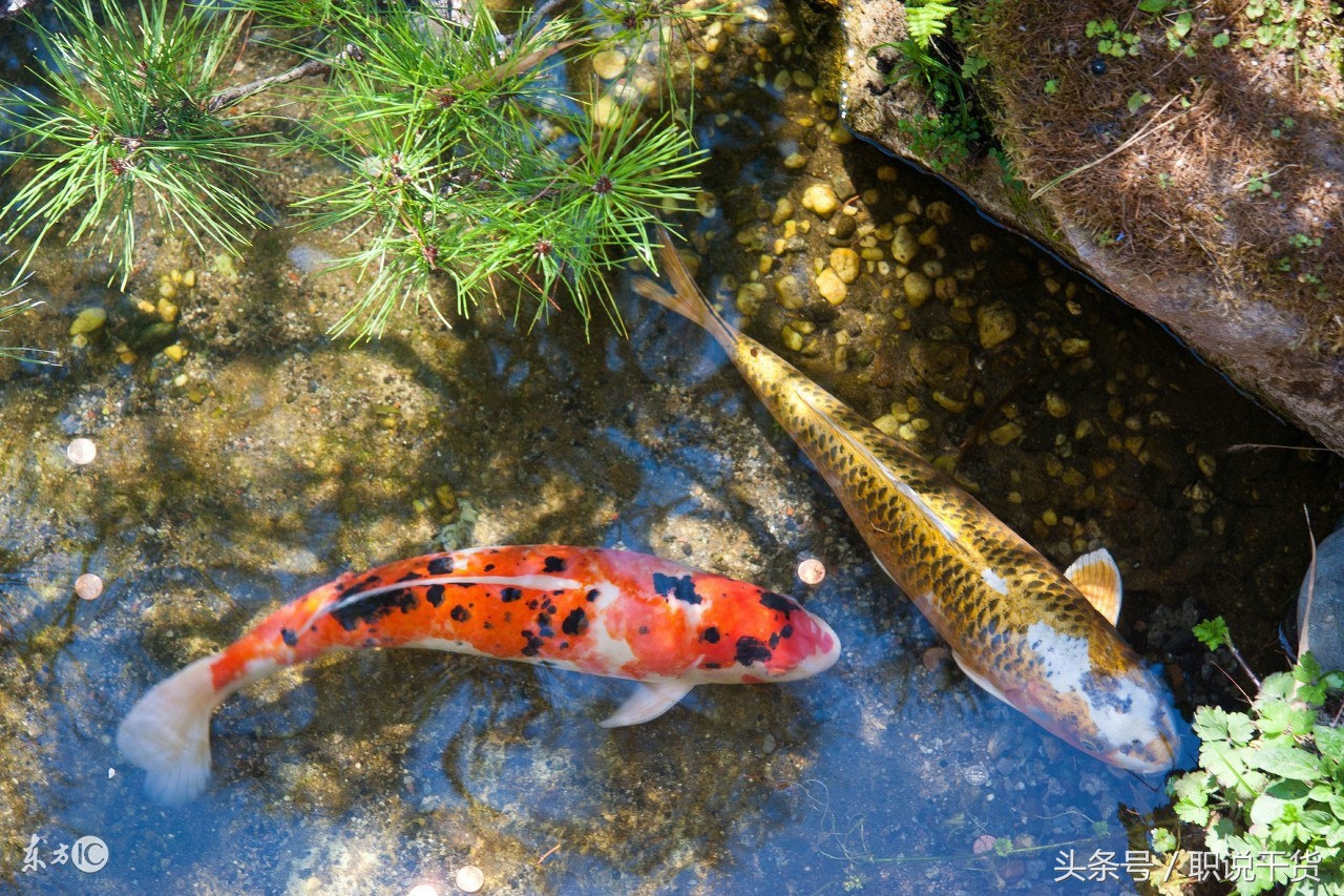 摒弃职场螺丝钉的KPI,跳槽智多星就是你想要的?