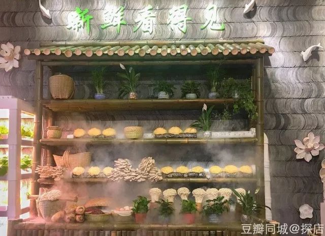 今晚深圳有什么活动,最近深圳周末有什么活动吗