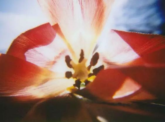 拍照自带复古感相机,自带滤镜拍立得