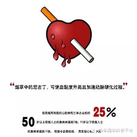 诱发心律失常的常见原因,肾上腺素诱发家兔心律失常