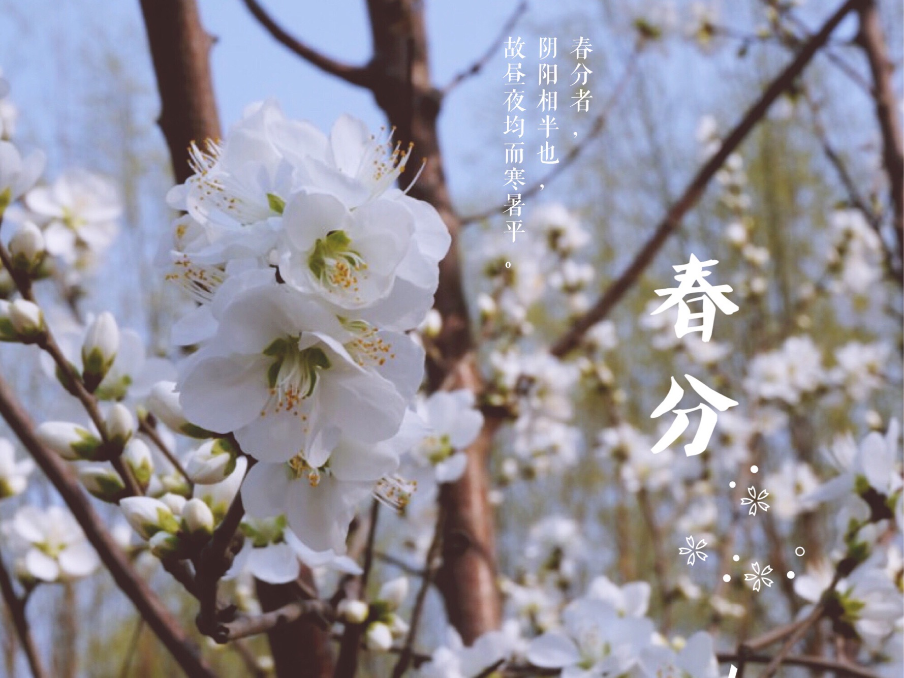 秀银川史上最牛的个人简历,看完感觉特有面子!