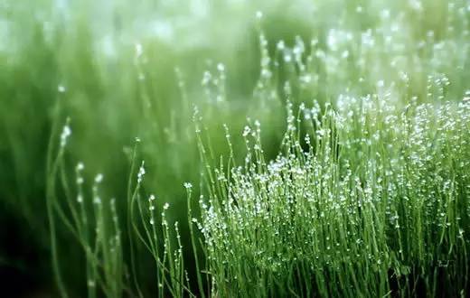 黄帝内经女子养生篇,黄帝内经女子养生秘诀