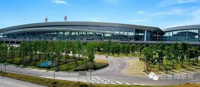 湖北大学生家暴女生,湖北一女大学生被家暴