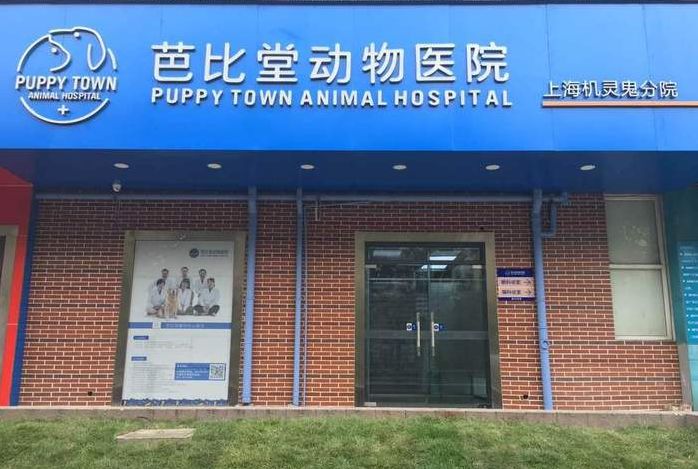 妙手仁心救我狗命锦旗,妙手仁心宠物医院