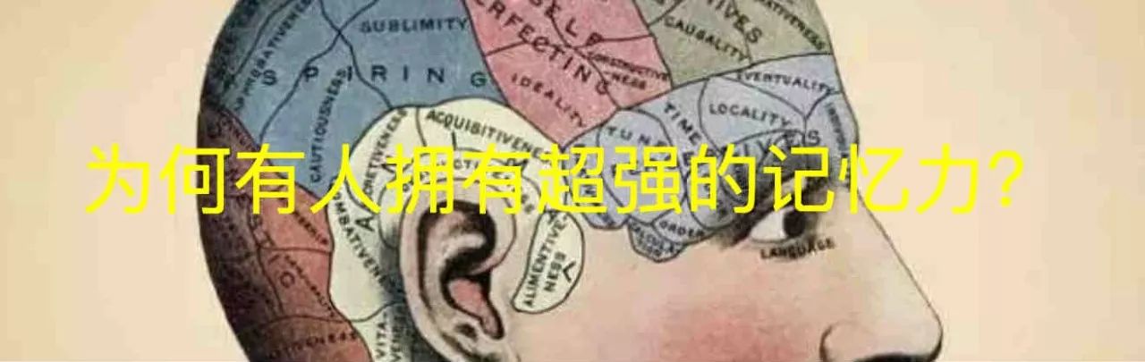 顺行性遗忘症是什么都不记得了吗,顺行性遗忘症是不是失忆症