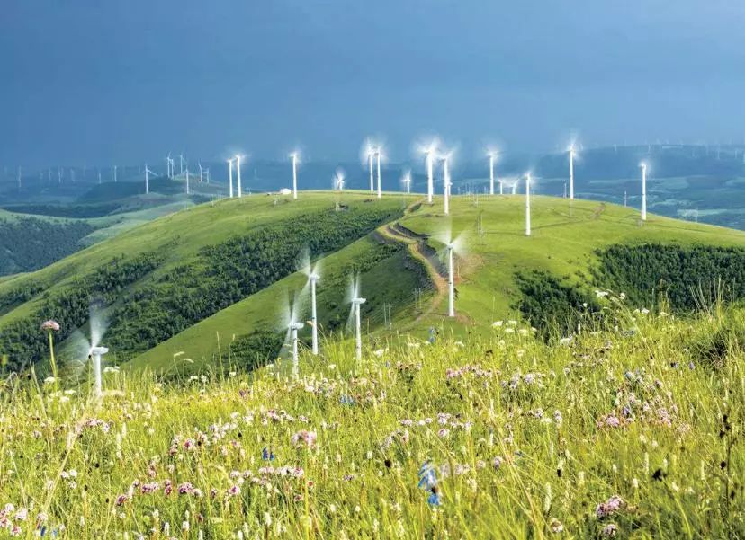 内蒙古日报头条重要内容是什么,内蒙古最新日报消息