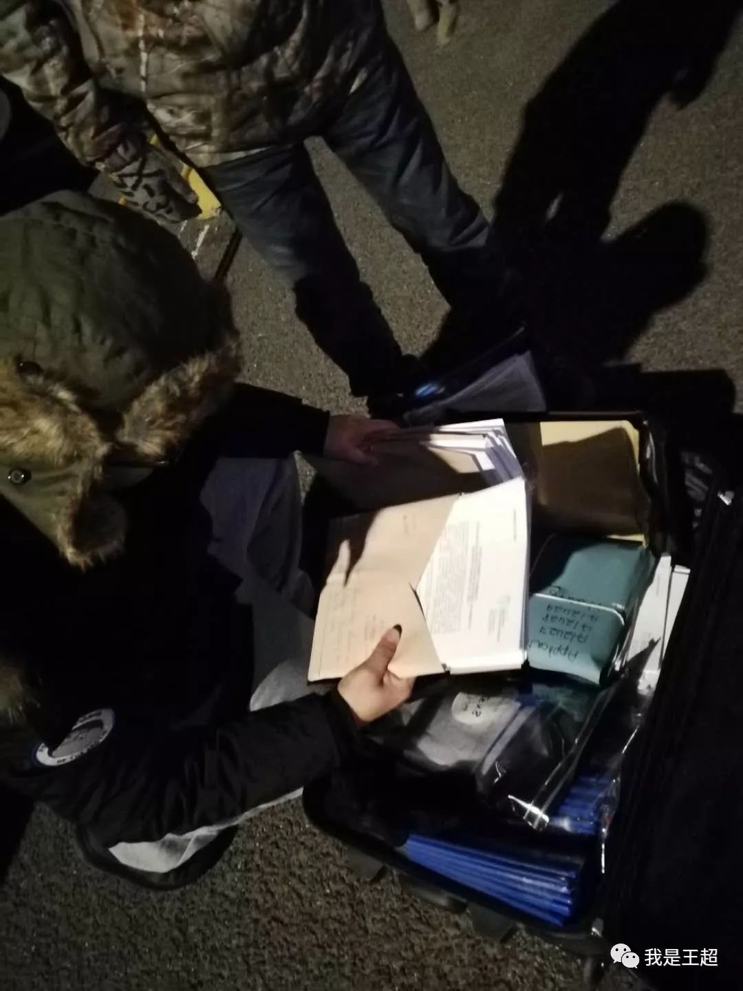 「多图」听说张总买的一飞机爱尔兰纯血马到首都机场了，我们去看了看