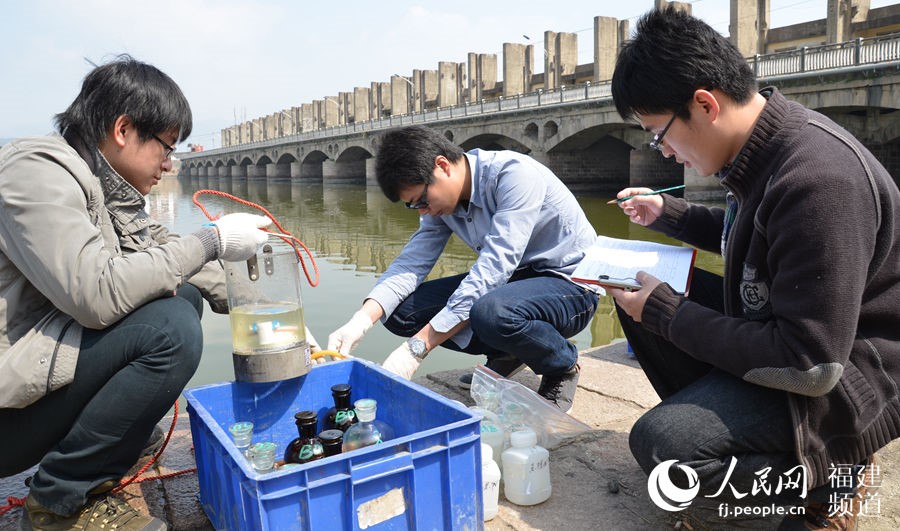 福建：开海兴闽扬优成势耕海牧渔展示活力