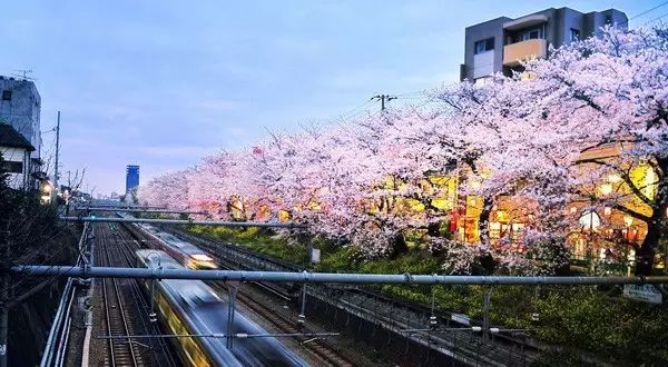 恋与制作人伴你身边,恋与制作人在你身边选谁比较好