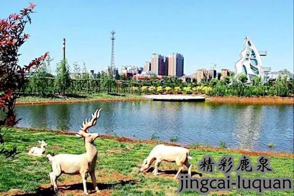 大揭秘改革开放,大揭秘解放石家庄