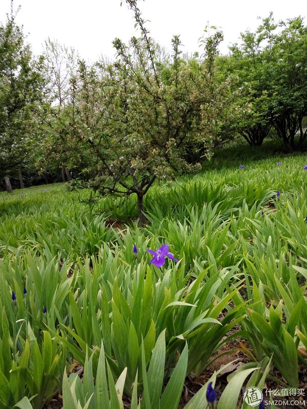 如何评价小米刚发布的红米note3,小米红米备用机推荐300以下