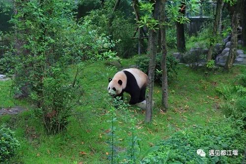 送福利元旦活动来一波,元旦送福利来啦