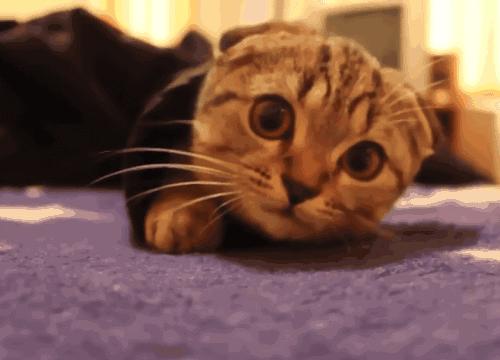 男人衰老期注意哪些问题,男人衰老的七大症状40岁