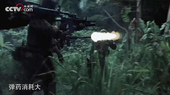 揭秘丛林战场，为什么很多军事行动都发生在丛林区？