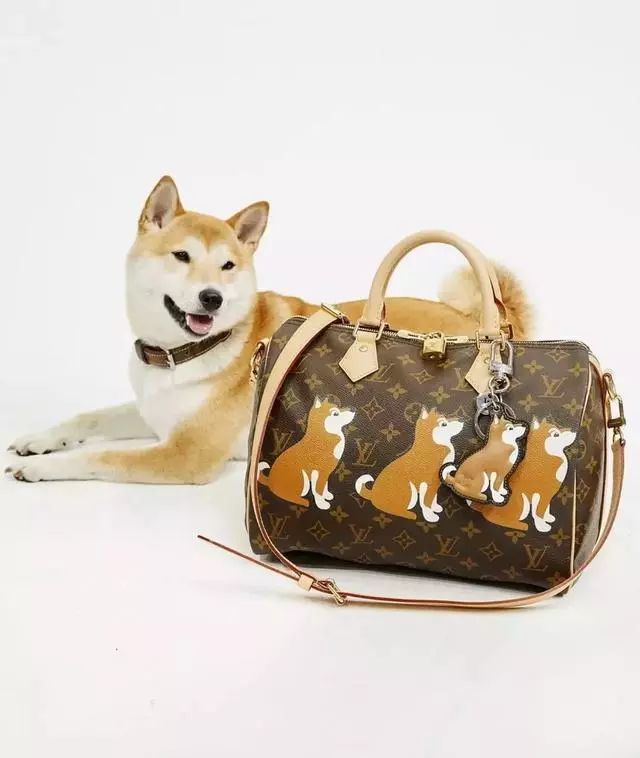 lv仿品和真品一样为啥还要买真的,为啥两三百的lv仿的也挺真