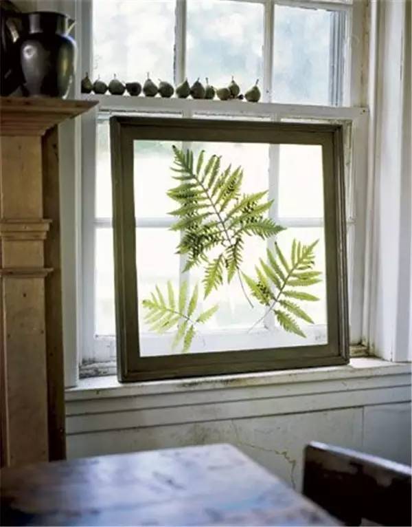 自己在家怎么做植物标本 (秋天如何做植物标本)