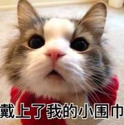 冬季深圳短途自驾一日游,深圳周边游玩好城市