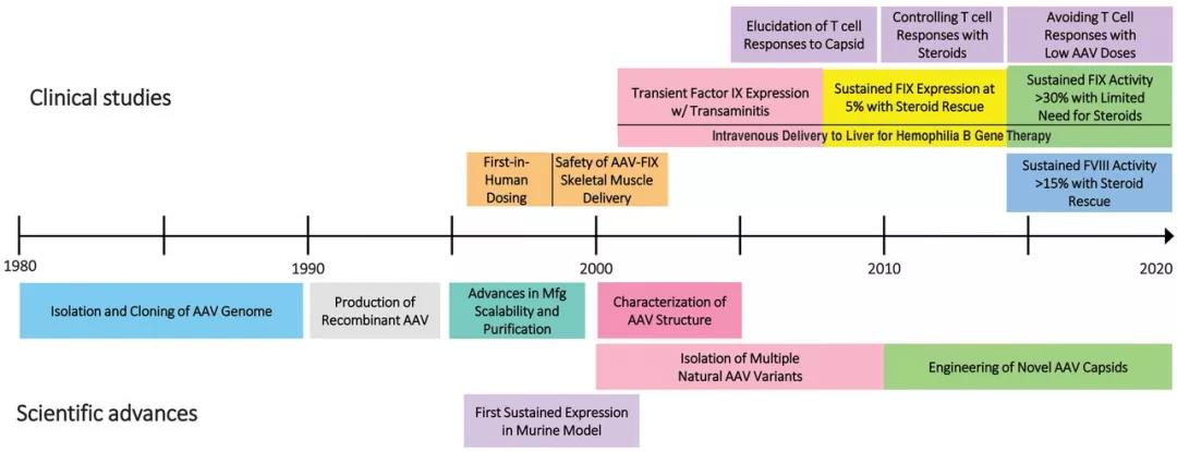 Science新年发文：基因疗法时代即将到来挑战不容忽视