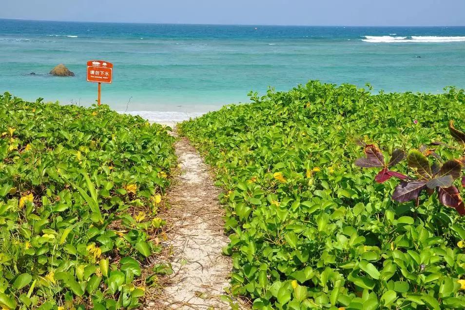 这里是中国的“情人岛”，比巴厘岛浪漫，比塞班岛热情