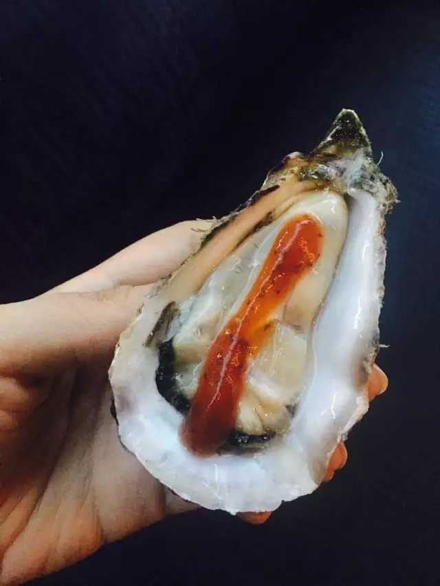 需要我来教你吗英文,你愿意请我吃生蚝吗