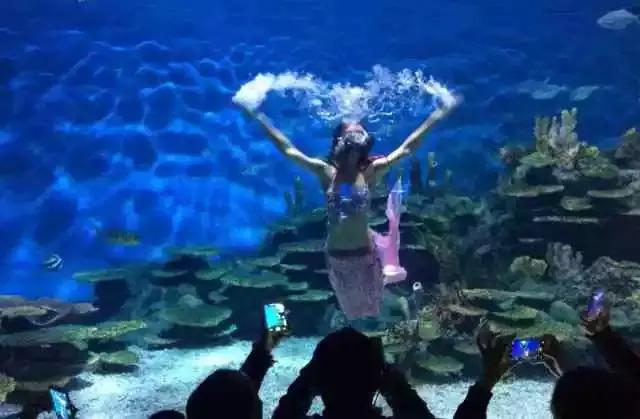 青岛太原高铁,太原高铁直达青岛