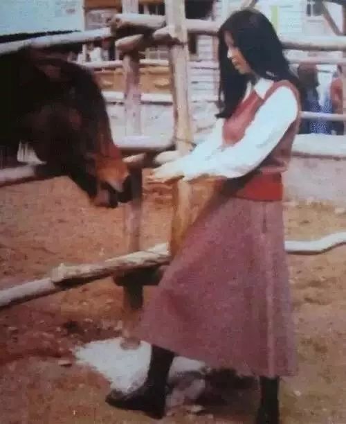 27年了，更想念那个浪迹天涯的你