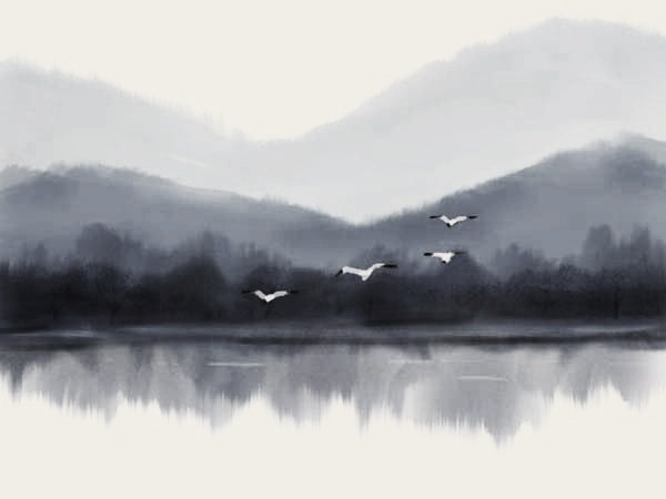 心灵鸡汤好还是心理学好,心灵鸡汤和治愈一样吗