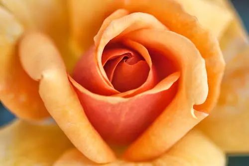 中英文标点还有这些区别,你知道吗?考试时不要用错了哦~