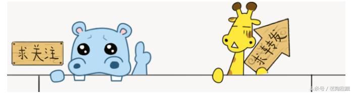 口粮普洱茶选什么品牌比较好,几款值得入手的普洱茶品牌