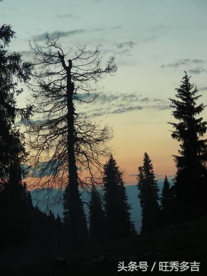 乌孙古道徒步注意事项和技巧,乌孙古道徒步穿什么衣服八月