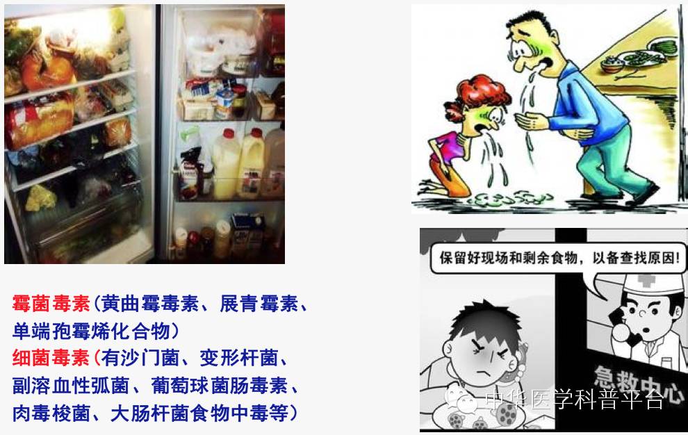 生活中哪些容易中毒,生活中各种食物中毒的表现