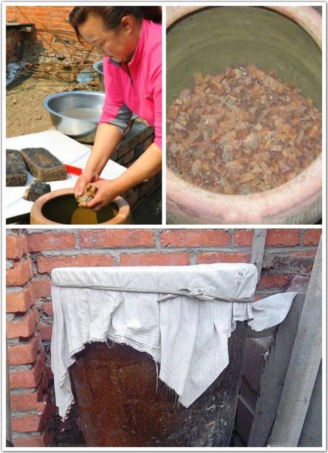 东北人做大酱的全过程视频,东北人制作大酱块
