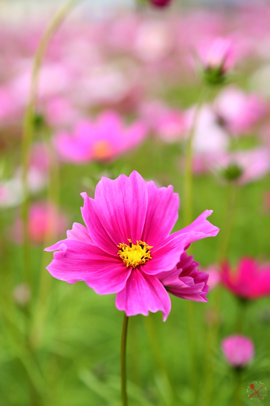 冬季温泉旅游景点推荐,到暖和的地方