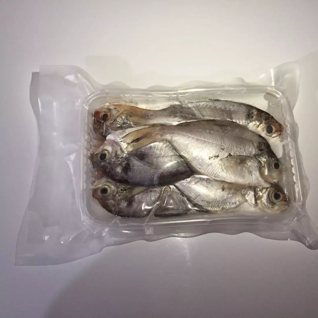 二步搞定的香煎大白鲳鱼,煎鲳鱼最正宗的做法