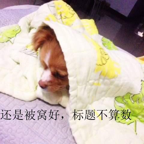 运动是抵抗寒冷的正确打开方式,唯有运动才能对抗寒冷