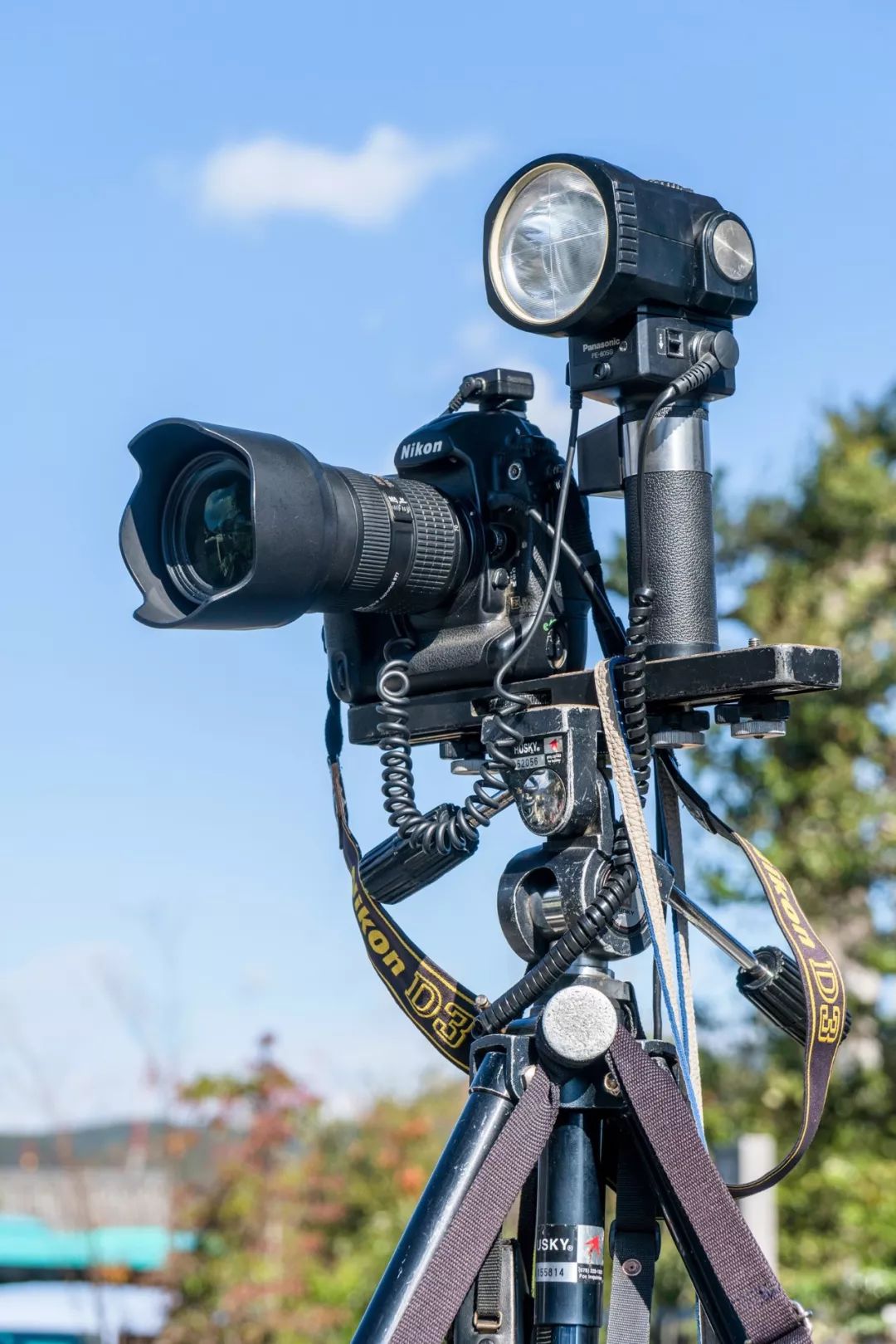 狗哥的热评,狗哥热评