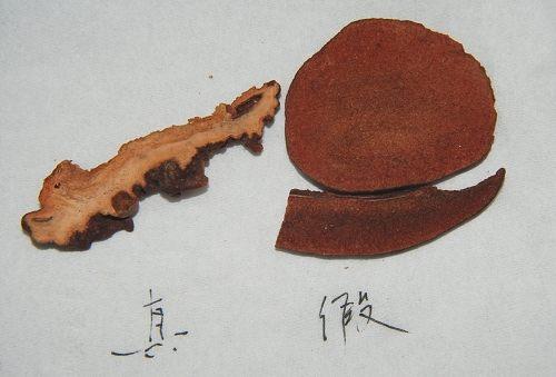 中药材造假猖獗，火眼金睛识别假中药