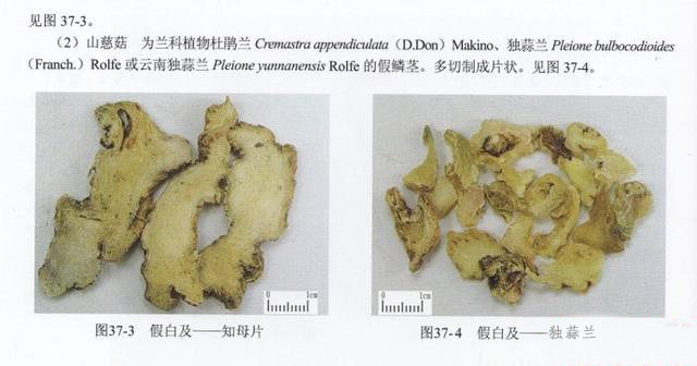 造假最多的十个中药材,名贵中药材造假的有哪些