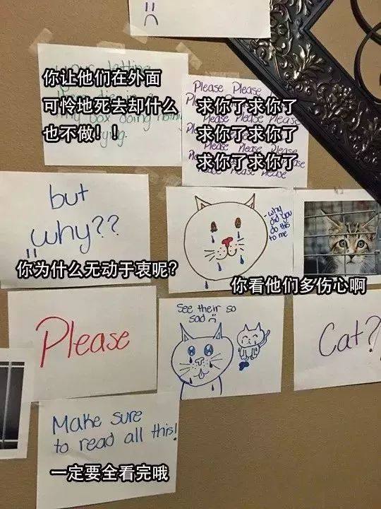 为什么家长不让孩子养宠物,宠物爸妈不让养怎么办