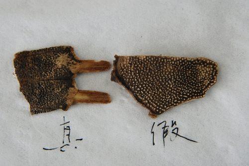 中药材造假猖獗，火眼金睛识别假中药