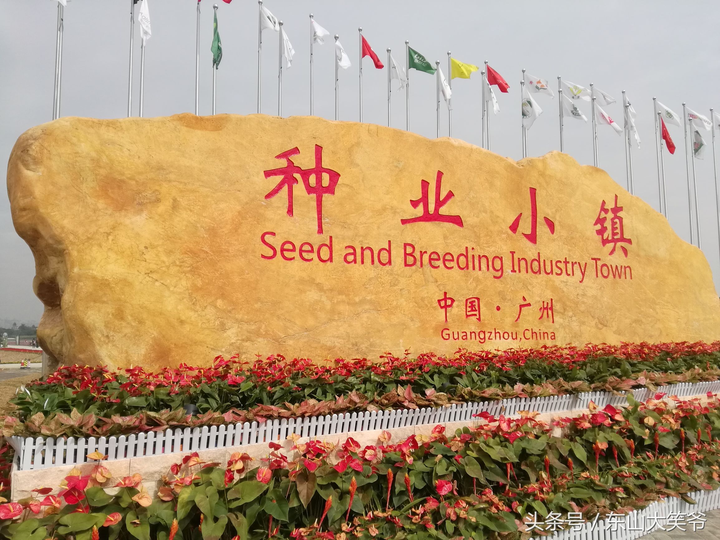 南沙东涌花海,南沙东涌镇风景绝美的地方