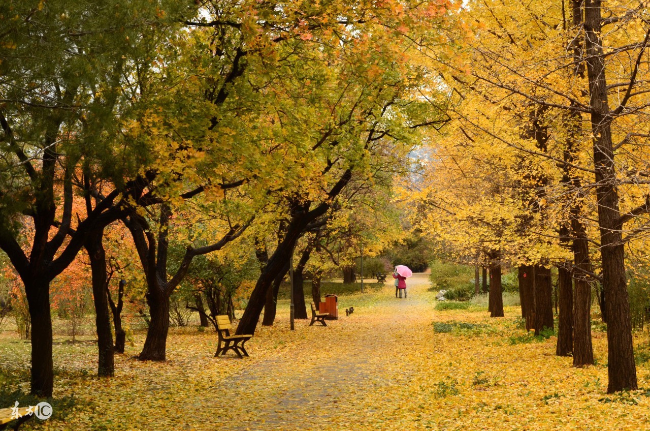 小时候我们家住在农村,小时候窗户