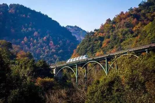 2018年浙江地方景点旅游日历大合集!含杭州,建德,温州,金华!