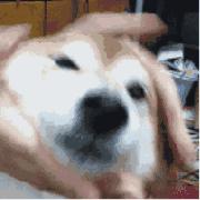 如果你是靓女，请把颗护发灵丹放入收藏夹！