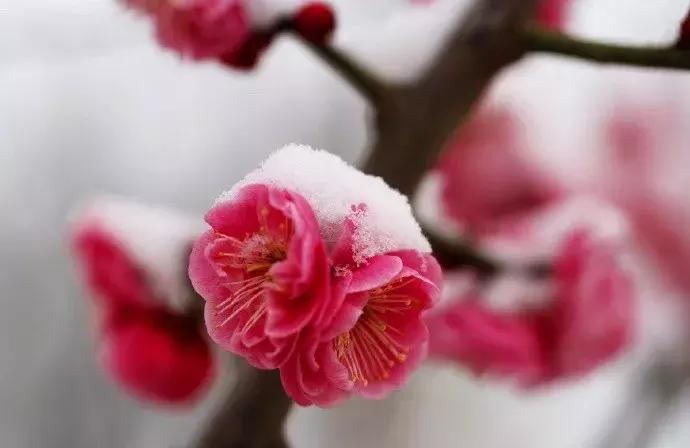 感慨历史变迁的古诗名句,表达岁月沧桑的古诗句大全