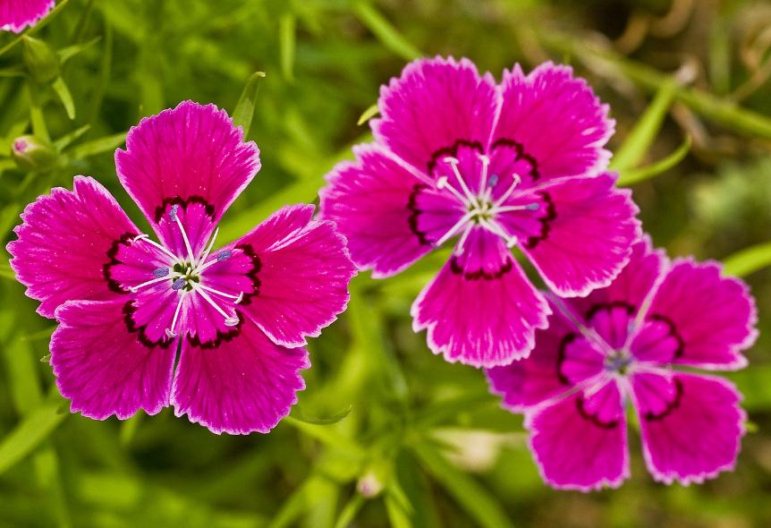 当你的人生陷入绝望,当你的人生遇到困境的时候