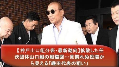 2017年我们在新闻里寻找到的快感