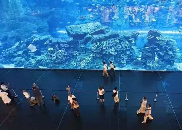 低至一折？买东西送超跑？2018迪拜购物节全攻略