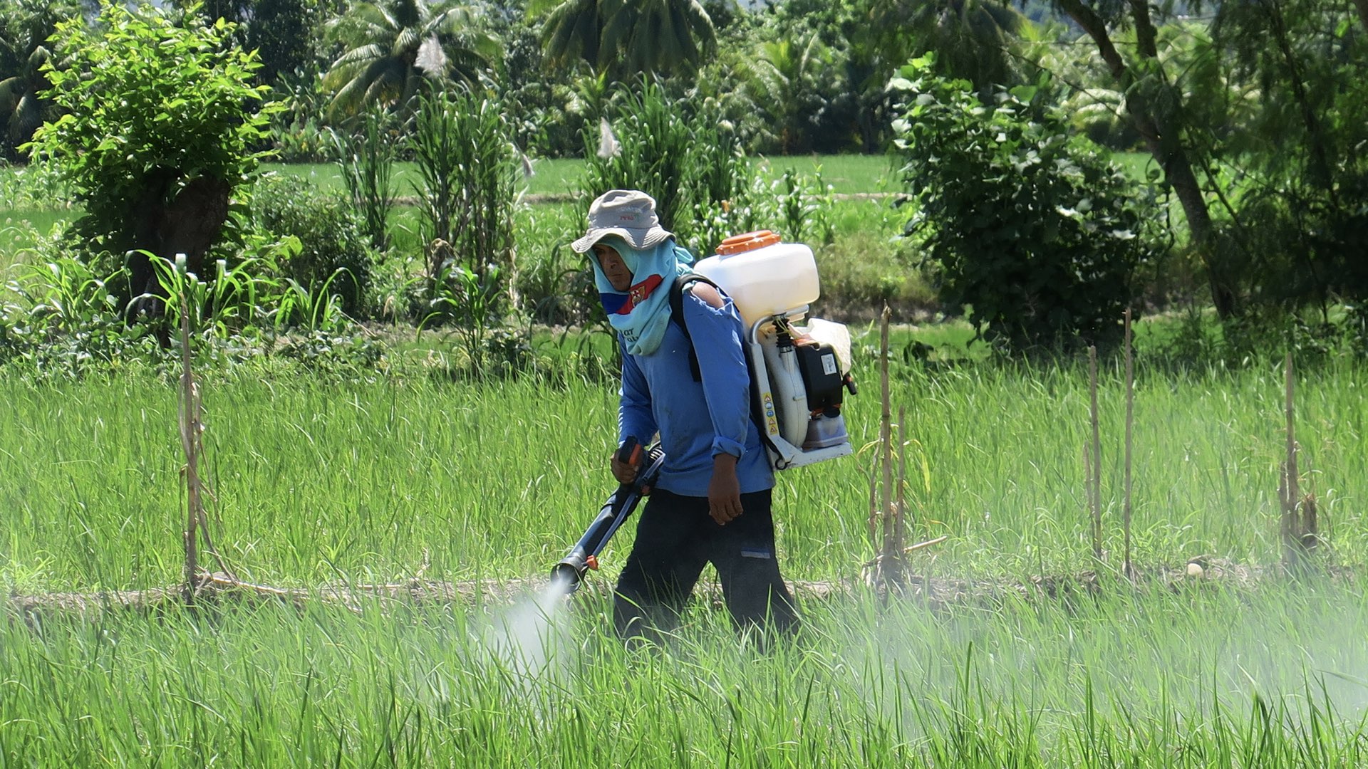 人力资源管理专业hr工作,人力资源管理hr系统